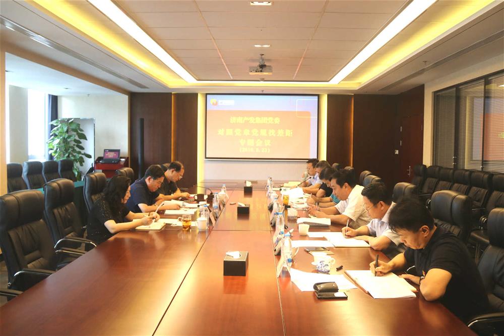 辉达娱乐党委召开对照党章党规找差距专题会议