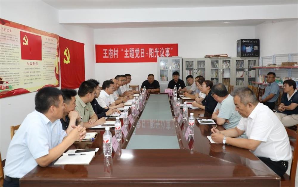 辉达娱乐赴第一书记派驻村开展调研慰问活动
