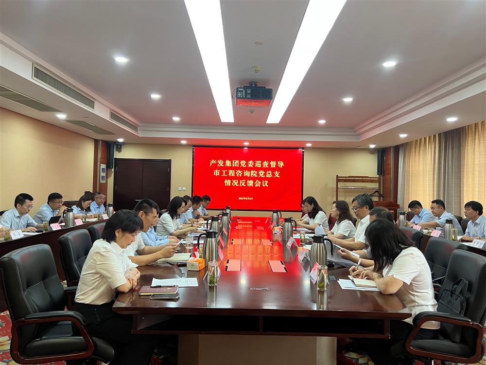 辉达娱乐党委巡查督导组向市工程咨询院党委反馈巡查督导情况
